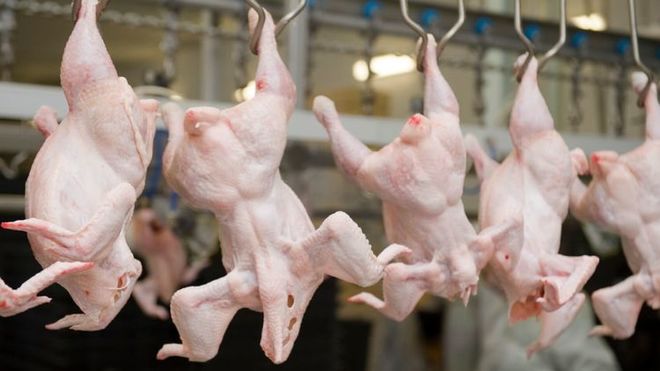 Производство курятины в Ставрополье вырастет в два раза